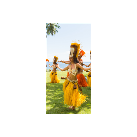 Kakemono Danseuse Polynésie - 180 x 80 cm - Toile M1 avec structure X- Banner