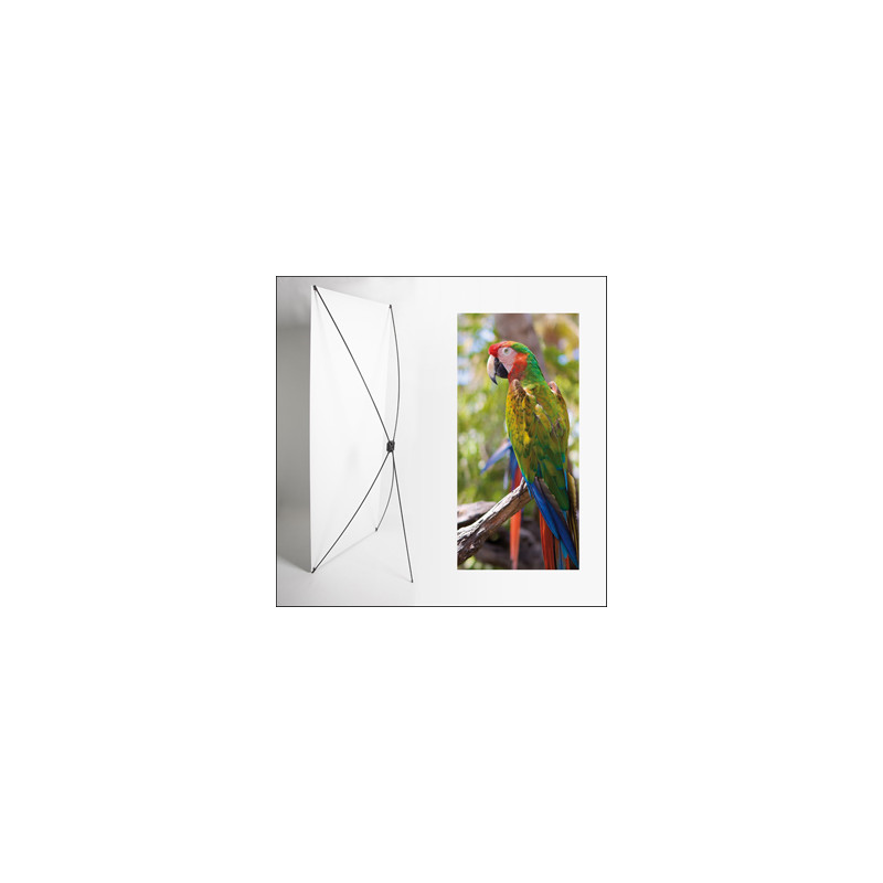 Kakemono Exotique Perroquet - 180 x 80 cm - Toile M1 avec structure  X- Banner