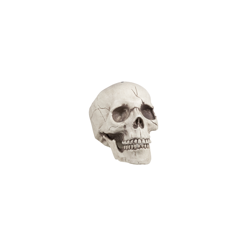 Tête de mort - 16 x 14 x 21cm