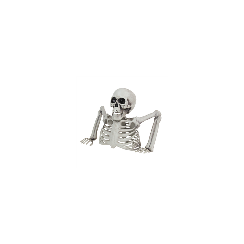 Squelette mort vivant plastique 25 x 12 x 20cm