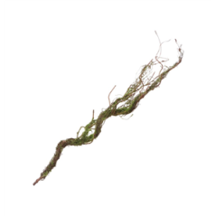 Branche avec mousse 75cm