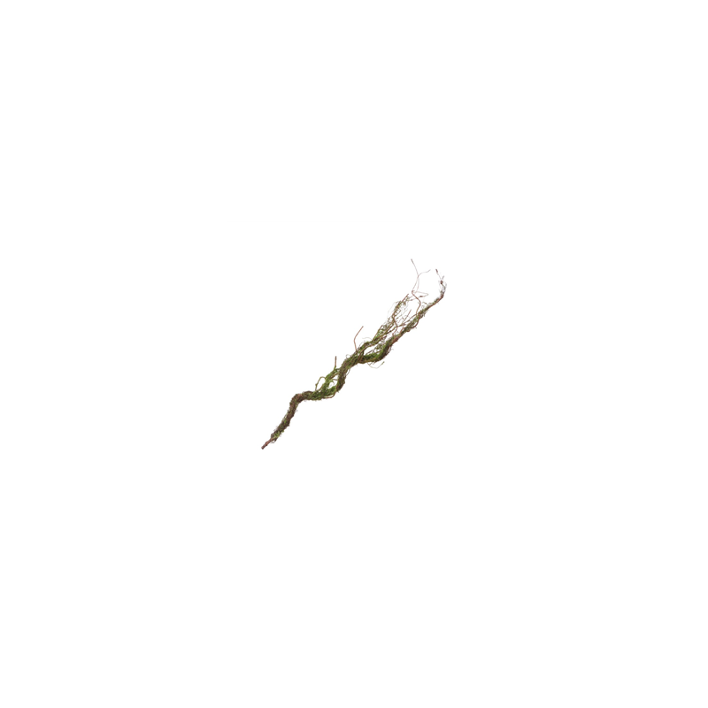 Branche avec mousse 75cm