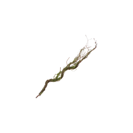 Branche avec mousse 75cm