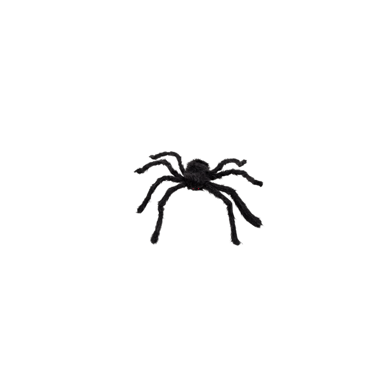 Araignée géante 50 x 65cm