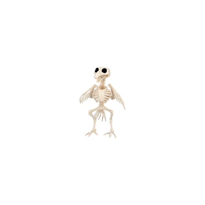 Squelette d'oiseau - Haut. 20cm