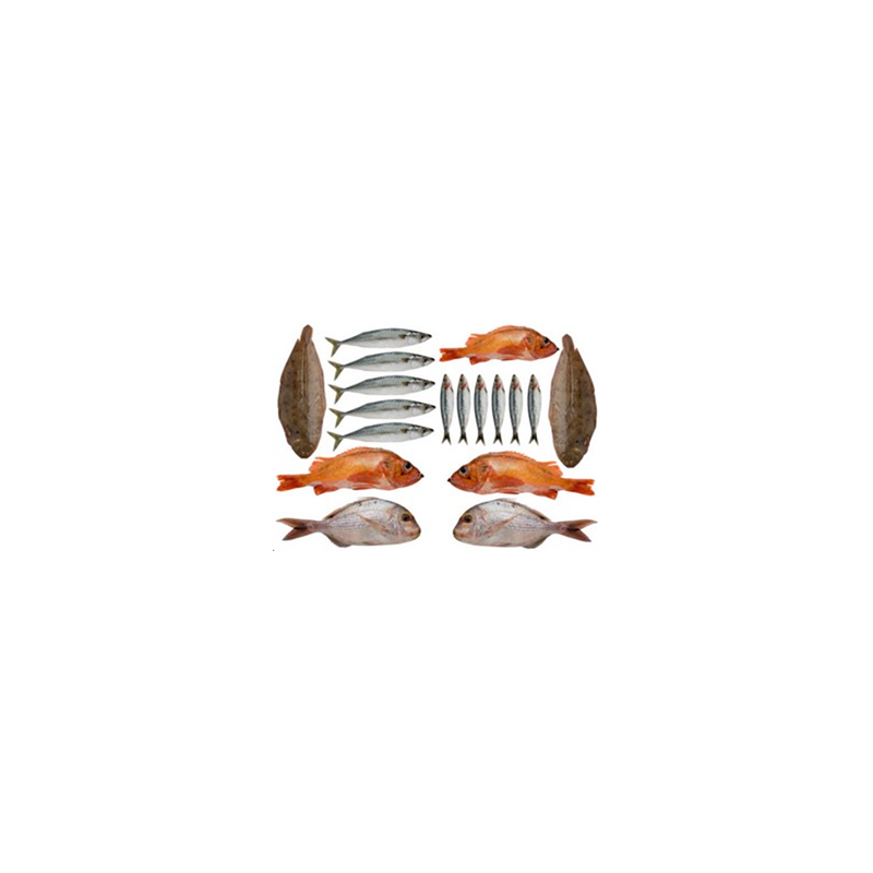 Mobiles Poissons de mer x 18 - carton