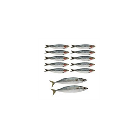 Mobiles sardines x 12 - carton - 10 de 22cm de long et 2 de 32 cm