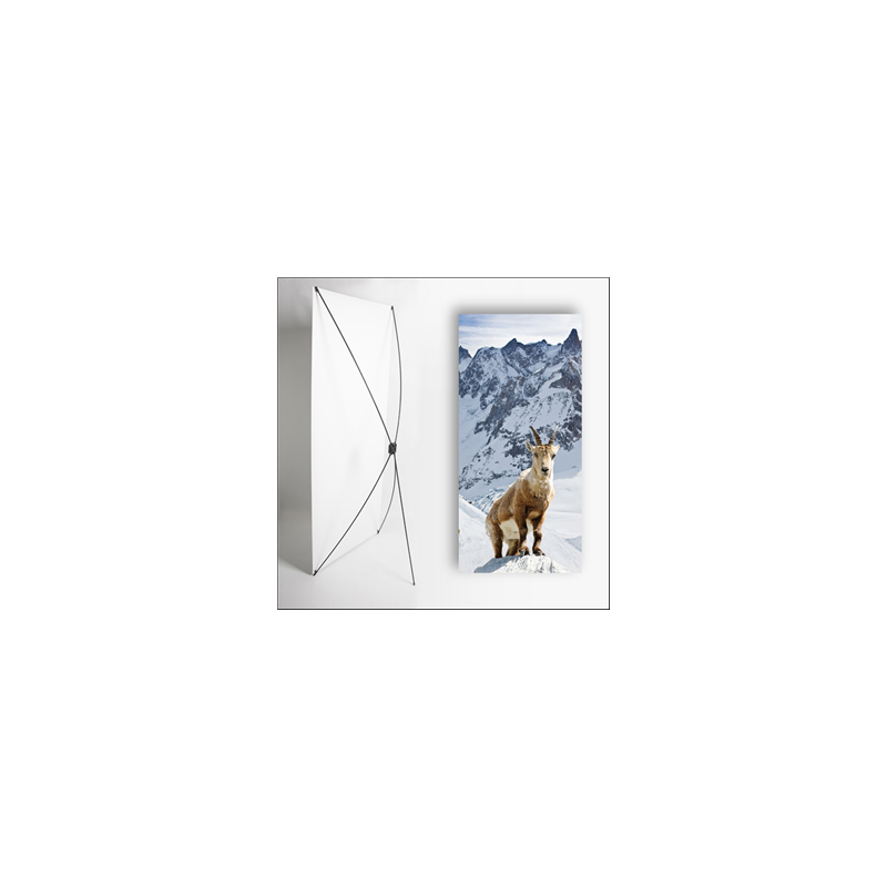 Kakemono Montagne Chamoix - 180 x 80 cm - Toile M1 avec structure  X- Banner
