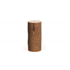 Tronc bois dia 10 x 20 cm