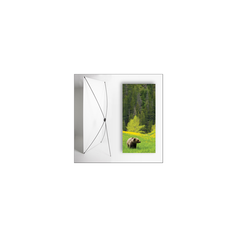 Kakemono Canada Ourson - 180 x 80 cm sur Toile M1 avec structure X- Banner