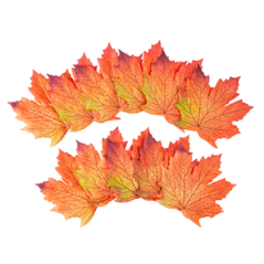 12 Feuilles d'Érables Dégradé de Couleurs Automnales (tissu) 9,5 x 10,5 cm