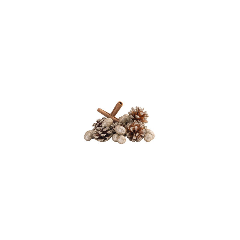 Sachet de bâtons de cannelle et pommes de pins dorées