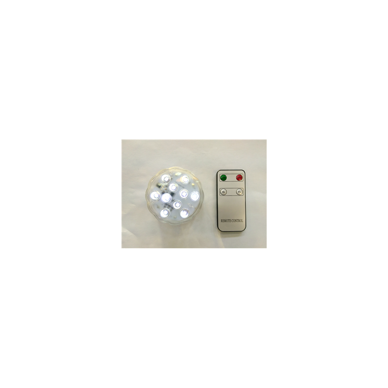 Pavet LED blanc pur, avec télécommande (3 piles LR3 non incluses)