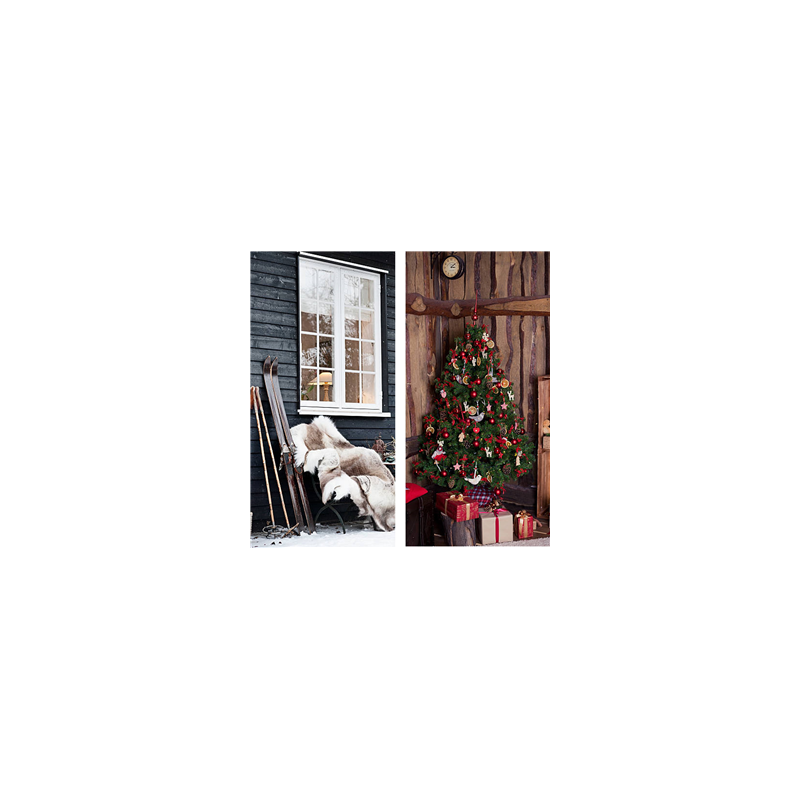 Visuel Chalet vintage - carton recto verso - 37 x 76cm