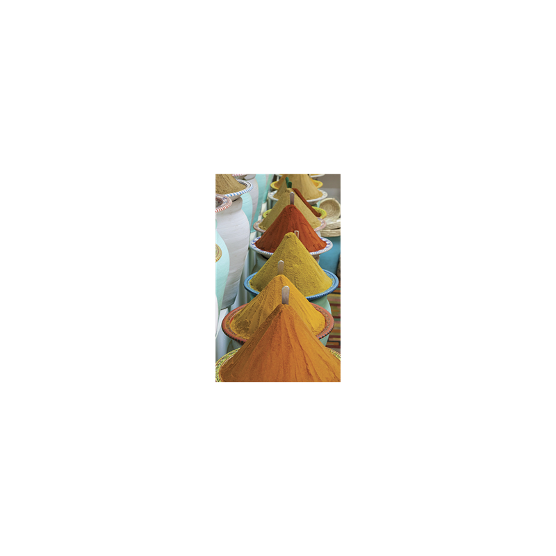 Kakémono Oriental Epices 80 x 180 sur Toile M1 / avec structure  X- Banner