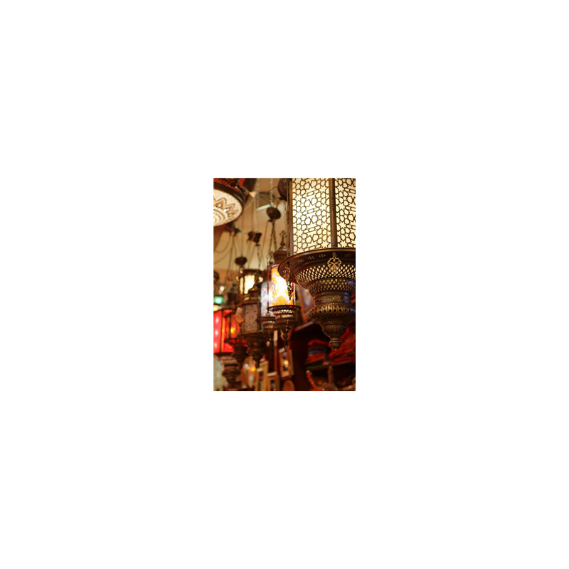 Kakémono Oriental Lampes 80 x 180 sur Toile M1 / avec structure  X- Banner