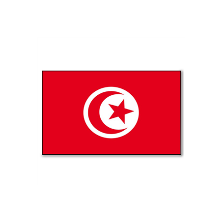 Drapeau Tunisie - tissu - 90 x 150cm