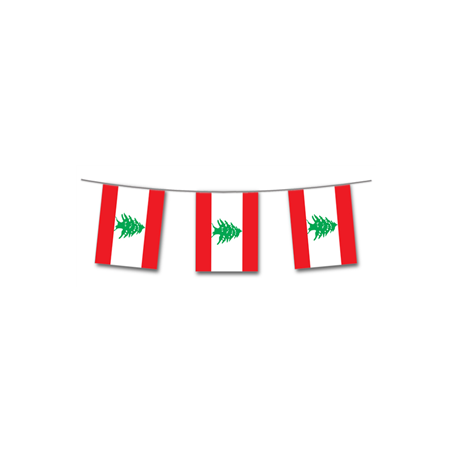 Guirlande Liban 10 fanions 21 x 30cm - papier Long. 420cm