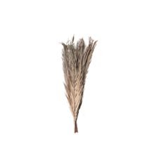 Bouquet de 9 feuilles de dattier naturelles 100cm