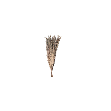 Bouquet de 9 feuilles de dattier naturelles 100cm