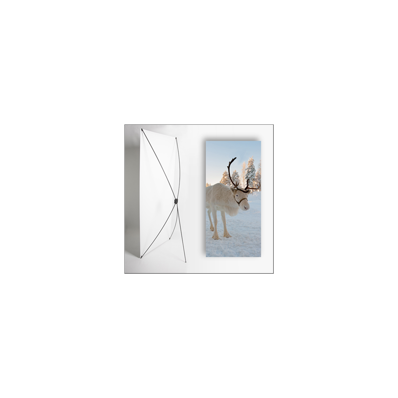 Kakemono scandinavie Renne - 180 x 80 cm sur Toile M1 avec structure  X- Banner