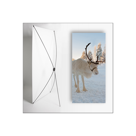 Kakemono scandinavie Renne - 180 x 80 cm sur Toile M1 avec structure  X- Banner