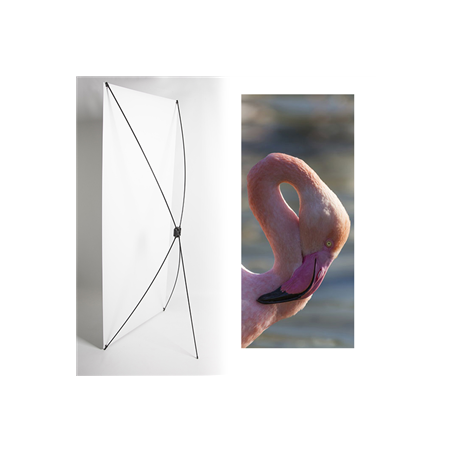 Kakemono flamant - 180 x 80 cm - Toile M1 avec structure  X- Banner