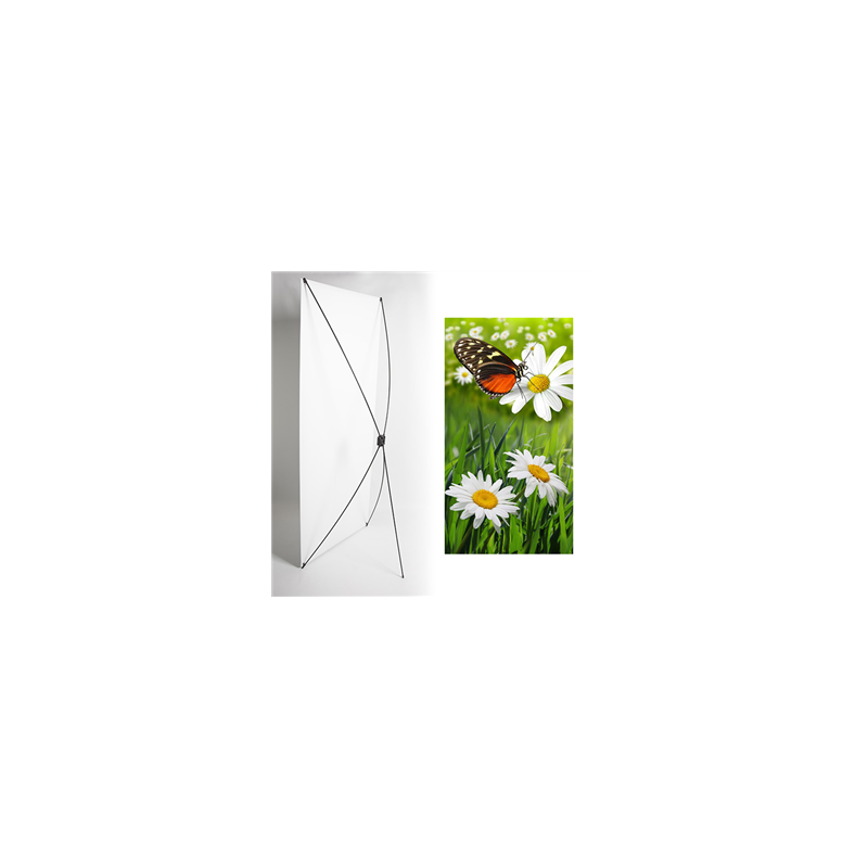 Kakemono marguerite été - 180 x 80 cm - Toile M1 avec structure  X- Banner