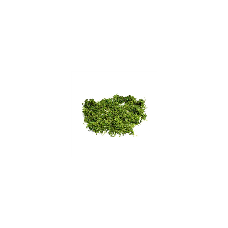 Mousse végétale naturelle semi-sèche 50g