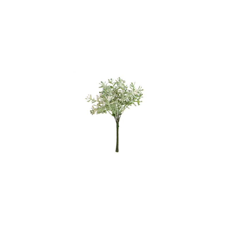 Mini bouquet de Santoline vert - Haut. 16cm