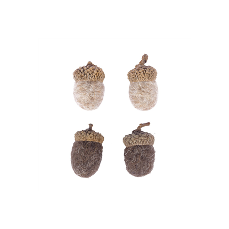 Sachet de 12 glands taupes et marrons 2.5cm