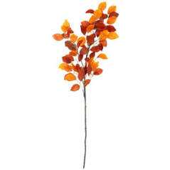 Branche de Hêtre dégradé de rouille - Haut. 100cm