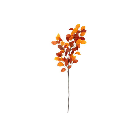 Branche de Hêtre dégradé de rouille - Haut. 100cm