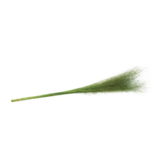 Bouquet de 50 Muehlenbeckia vert - Haut. 85cm