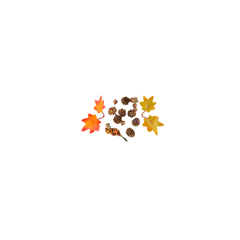 Assortiment Feuilles d'Érable, Pommes Pin, Glands et Baies Automnales (env.15pc)