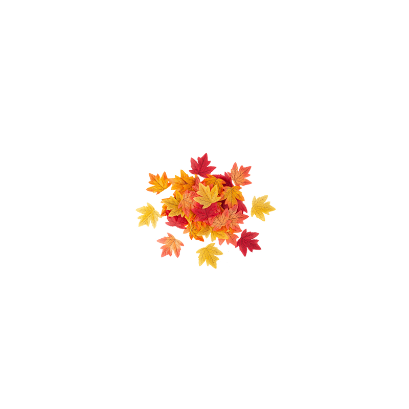 50 Feuilles d'Érable Dégradé de Couleurs Automnales 9x10cm