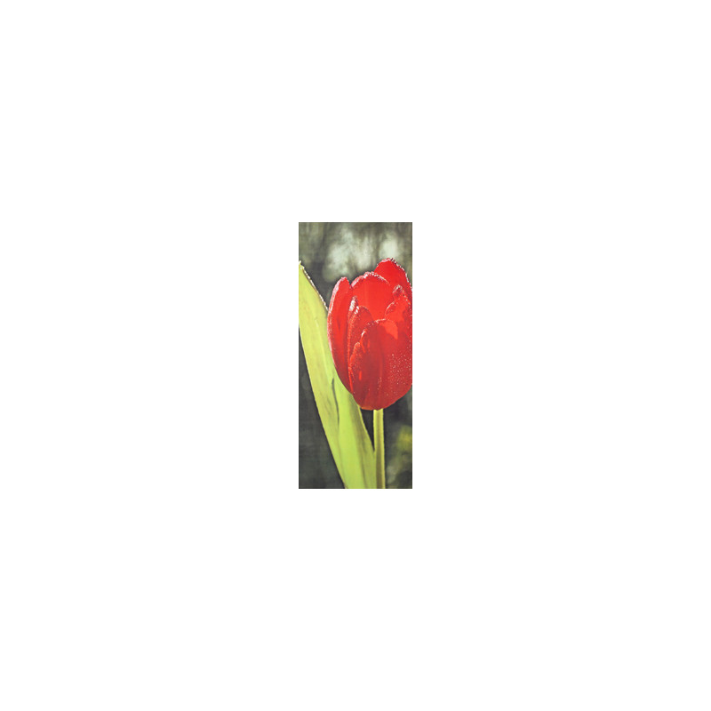 Kakémonos tulipe  + support - tissu - 75 x 180 cm*