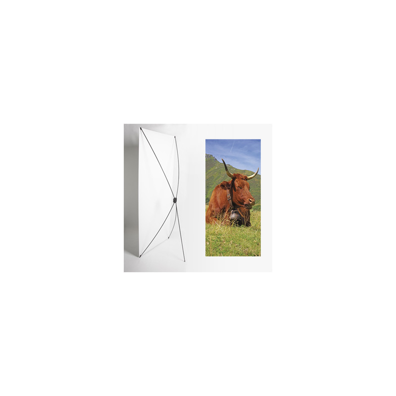 Kakemono Auvergne vache - 180 x 80 cm - Toile M1 avec structure  X- Banner