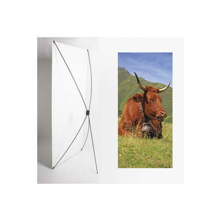 Kakemono Auvergne vache - 180 x 80 cm - Toile M1 avec structure  X- Banner