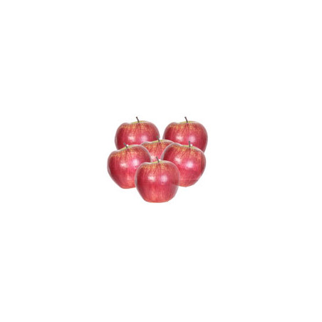 Pommes - lot de 6 - polystyrène