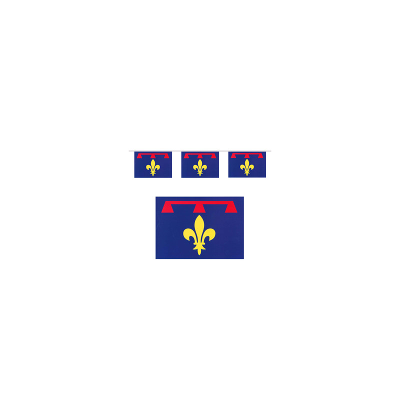 Guirlande drapeaux Provence 10 fanions 21 x 30cm - papier Long. 520cm