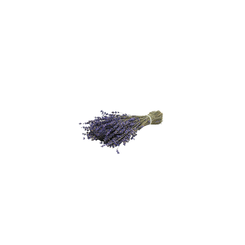 Bouquet de Lavande super bleue 80 grs