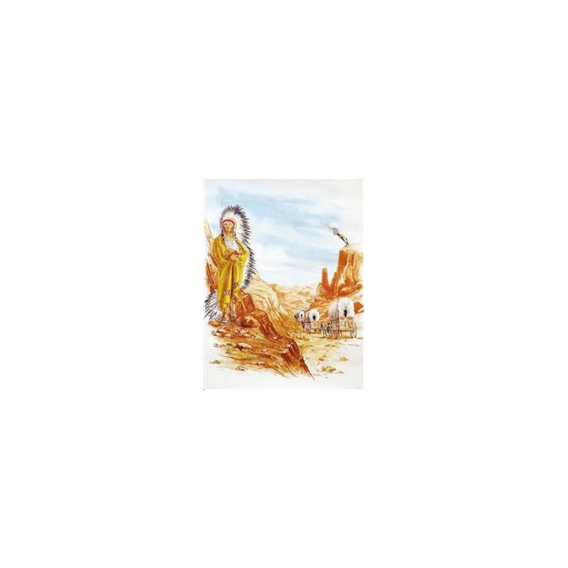 Affiche indien - 50 x 70 cm