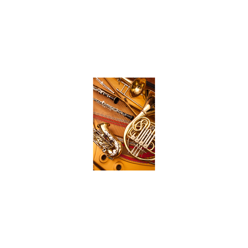 Visuel imprimé Musique Jazz - 40 x 30 cm sur support bristol 350 gr
