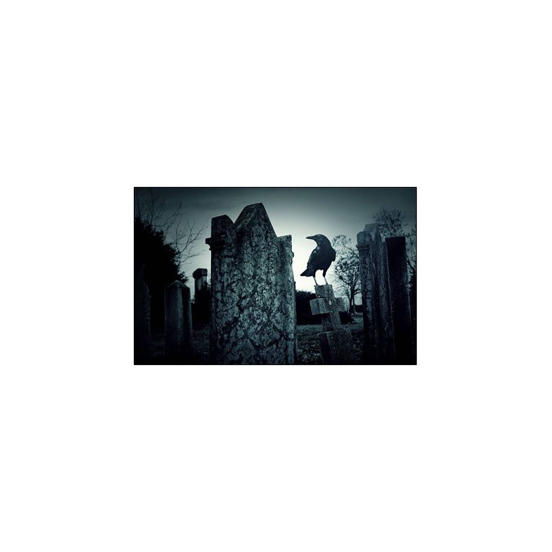 Visuel imprimé Halloween Cimetière Corbeau - 40 x 30 cm sur bristol 350 gr