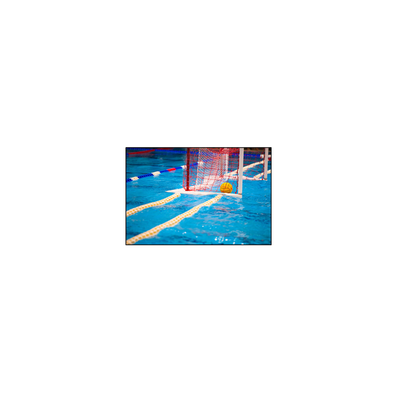 Visuel imprimé Sport Waterpolo - 40 x 30cm sur support bristol 350 gr