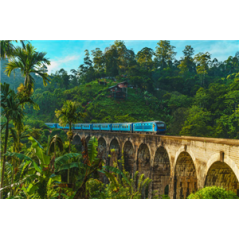 Visuel imprimé Sri Lanka Pont Nine Arche  - 40 x 30cm sur support bristol 350 gr