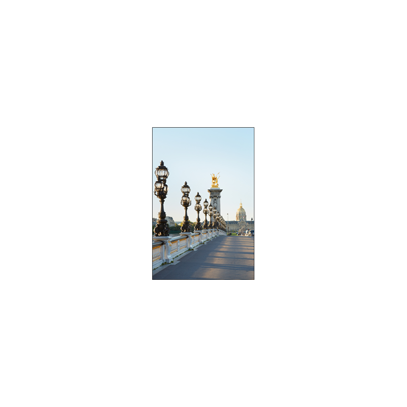 Visuel imprimé Paris Pont Alexandre III - 40 x 30cm sur support bristol 350 gr