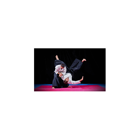 Visuel imprimé Japon Judo - 40 x 30cm sur support bristol 350 gr
