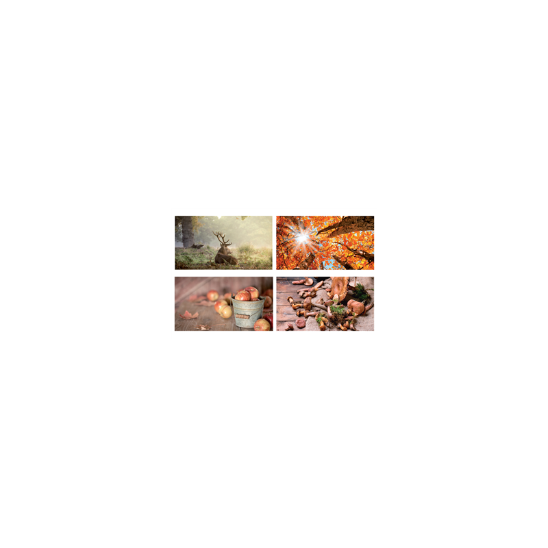 Mobiles Automne x4 - carton - 27 x 49cm